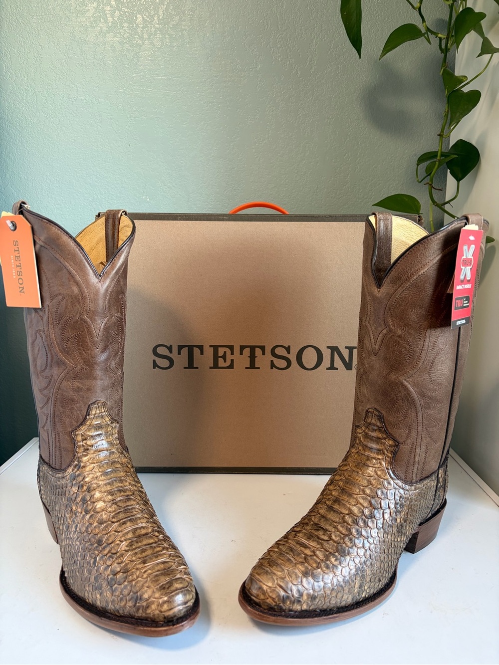 Stetson Python Exotic Leather Cowboy Boots 10 D